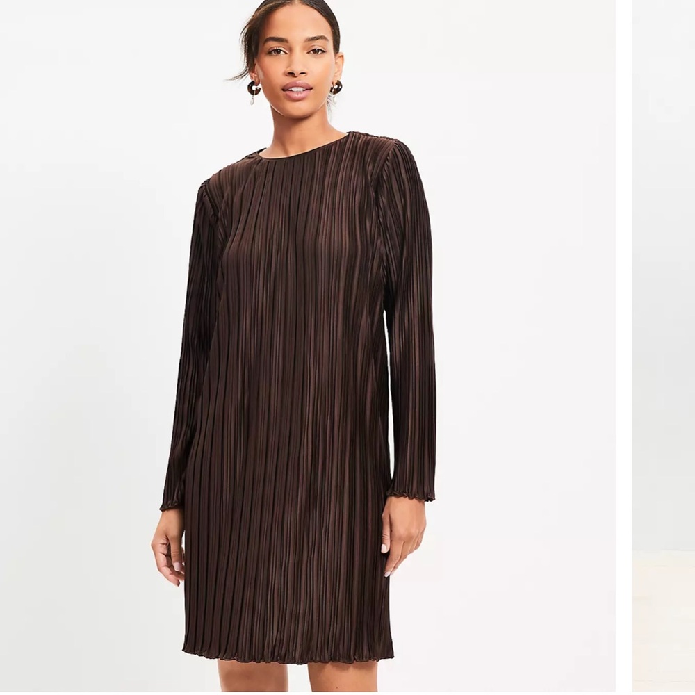 Chic Brown Pleated Dress